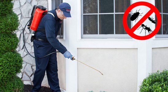 Kırklareli Bit İlaçlama böcek ilaçlama ve haşere kontrolü — ilaclama-tr.com